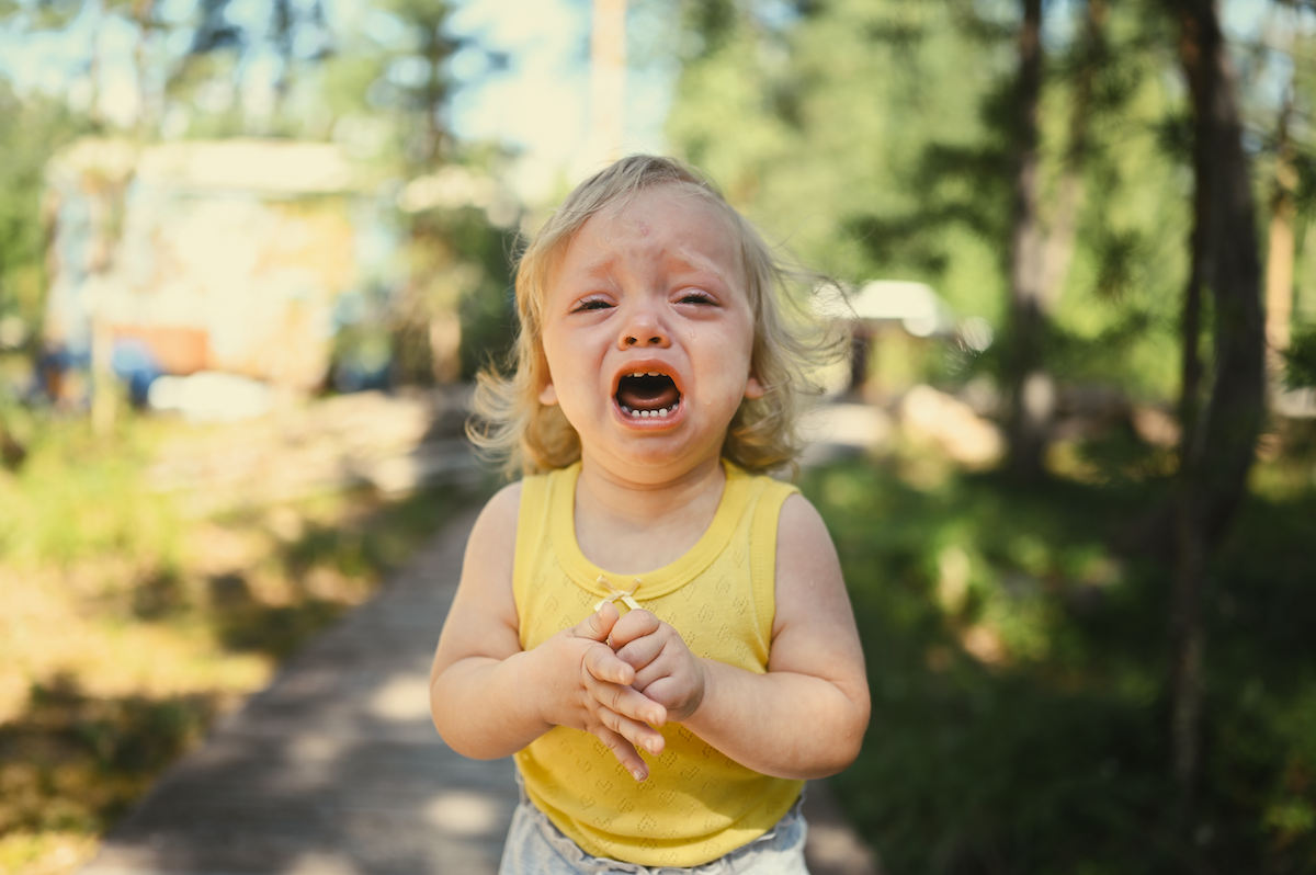 Toddler has tantrum at playground. How music plus emotional bridging can help pacify this situation.